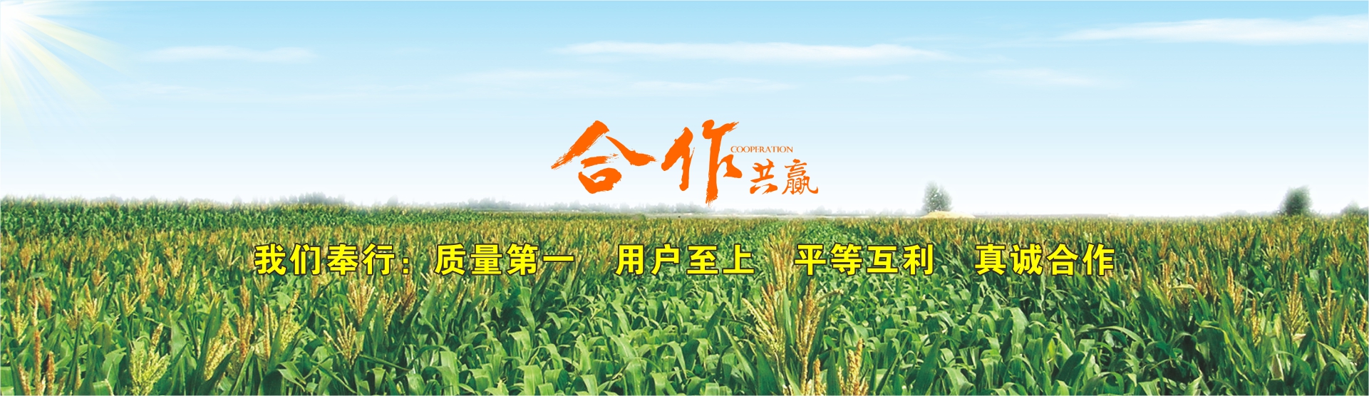轮播图